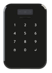 DESi Face Recognition and Touch Keypad - 